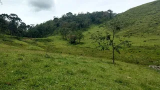 Fazenda / Sítio / Chácara com 2 Quartos à venda, 240000m² no Pouso Alto, Natividade da Serra - Foto 10