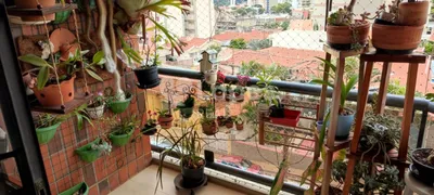 Apartamento com 3 Quartos à venda, 135m² no Vila Embaré, Valinhos - Foto 13