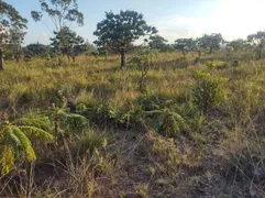 Fazenda / Sítio / Chácara à venda, 20000m² no Recanto das Emas, Brasília - Foto 6