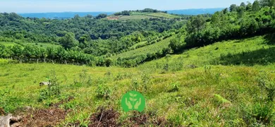 Fazenda / Sítio / Chácara à venda, 68000m² no Centro, Monte Belo do Sul - Foto 4