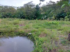 Fazenda / Sítio / Chácara com 3 Quartos à venda, 5000m² no Comunidade Urbana de Rio Grande, Guarapari - Foto 7