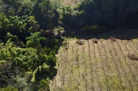 Fazenda / Sítio / Chácara com 1 Quarto à venda, 20000m² no Zona Rural, Caxias do Sul - Foto 15