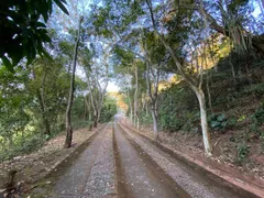 Fazenda / Sítio / Chácara com 13 Quartos à venda, 22500m² no Posse, Petrópolis - Foto 83