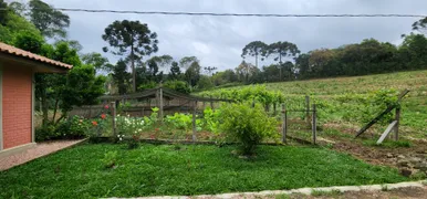 Fazenda / Sítio / Chácara com 3 Quartos à venda, 17000m² no Campestre dos Paulas, Mandirituba - Foto 30