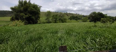 Fazenda / Sítio / Chácara à venda, 3605800m² no Pedregulho, Guaratinguetá - Foto 15