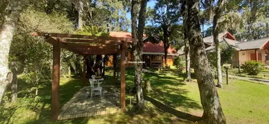 Casa com 5 Quartos à venda, 132m² no Jardim dos Pinheiros II, Canela - Foto 5