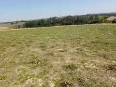 Fazenda / Sítio / Chácara com 3 Quartos à venda, 180000m² no Centro, Capivari - Foto 17