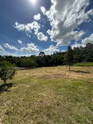 Fazenda / Sítio / Chácara à venda, 40000m² no Zona Rural, Campo Alegre - Foto 8