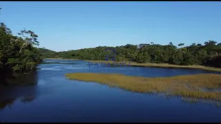 Terreno / Lote / Condomínio à venda, 47229m² no Barra do Pojuca, Camaçari - Foto 1