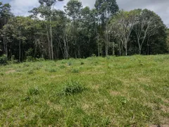 Terreno / Lote / Condomínio com 1 Quarto à venda, 1500m² no Aldeia dos Camarás, Camaragibe - Foto 4