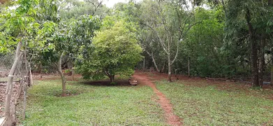 Fazenda / Sítio / Chácara com 4 Quartos à venda, 40000m² no Area Rural do Paranoa, Brasília - Foto 36