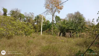 Fazenda / Sítio / Chácara com 1 Quarto à venda, 50000m² no Coxipó do Ouro, Cuiabá - Foto 8