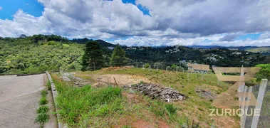 Terreno / Lote / Condomínio à venda, 1100m² no Jaguaribe, Campos do Jordão - Foto 2