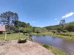 Fazenda / Sítio / Chácara com 1 Quarto à venda, 52947m² no Três Riachos, Biguaçu - Foto 26