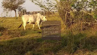 Terreno / Lote / Condomínio à venda, 250000m² no Zona Rural, Porangaba - Foto 13