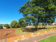 Terreno / Lote / Condomínio à venda, 1000m² no Jardim Andrade, Maringá - Foto 3