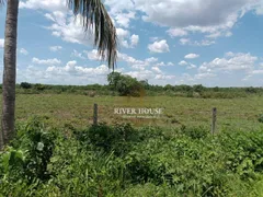 Fazenda / Sítio / Chácara à venda, 3500000m² no Zona Rural, Nossa Senhora do Livramento - Foto 4