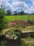 Fazenda / Sítio / Chácara com 3 Quartos à venda, 180m² no , Mandaguaçu - Foto 29