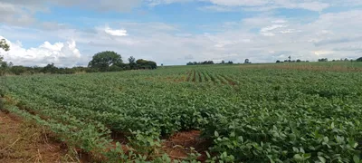 Fazenda / Sítio / Chácara com 2 Quartos à venda, 420000m² no Paranoá, Brasília - Foto 2