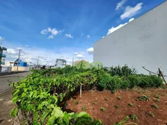Terreno / Lote / Condomínio à venda, 360m² no Parque Primavera, Americana - Foto 1