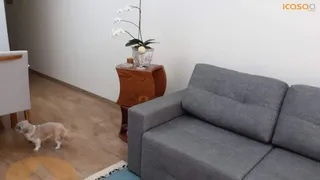 Apartamento com 3 Quartos à venda, 65m² no Vila Monte Alegre, São Paulo - Foto 8