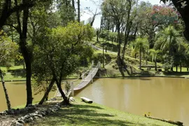 Fazenda / Sítio / Chácara com 3 Quartos à venda, 168000m² no Salgadinho, Campo Largo - Foto 34