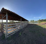 Fazenda / Sítio / Chácara à venda no , Itapecuru Mirim - Foto 9