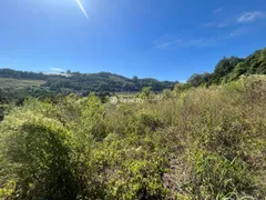 Terreno / Lote / Condomínio à venda, 20000m² no Faria Lemos, Bento Gonçalves - Foto 8