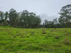 Terreno / Lote / Condomínio à venda, 180000m² no Zona Rural, Passa Tempo - Foto 3