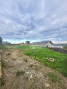 Terreno / Lote / Condomínio à venda, 462m² no Uvaranas, Ponta Grossa - Foto 2