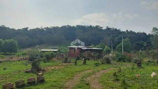 Fazenda / Sítio / Chácara com 2 Quartos à venda, 1250m² no Centro, Monte Belo do Sul - Foto 14