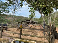 Fazenda / Sítio / Chácara com 2 Quartos à venda, 60m² no Santa Isabel do Rio Preto, Valença - Foto 5