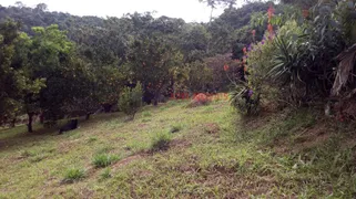 Fazenda / Sítio / Chácara com 3 Quartos à venda, 22000m² no Taboão, Mogi das Cruzes - Foto 4