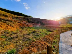 Terreno / Lote / Condomínio à venda, 300m² no Grama, Juiz de Fora - Foto 3