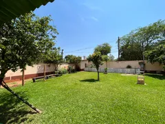 Fazenda / Sítio / Chácara com 4 Quartos à venda, 600m² no Jardim das Palmeiras, Ribeirão Preto - Foto 1