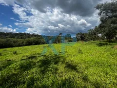 Fazenda / Sítio / Chácara com 3 Quartos à venda, 300m² no Zona Rural, São Sebastião do Oeste - Foto 13