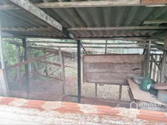 Fazenda / Sítio / Chácara com 2 Quartos à venda, 200m² no Agua Boa, Paiçandu - Foto 13