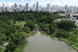 Fazenda / Sítio / Chácara à venda, 1m² no , Palmeiras de Goiás - Foto 19