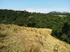 Fazenda / Sítio / Chácara à venda, 30000m² no Centro, São Luiz do Paraitinga - Foto 8