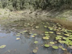 Terreno / Lote / Condomínio à venda, 16280m² no Jardim Planteucal, Ribeirão Pires - Foto 1