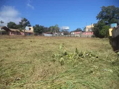 Terreno / Lote / Condomínio à venda, 2300m² no Santo Antônio de Lisboa, Florianópolis - Foto 7