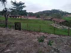 Fazenda / Sítio / Chácara com 3 Quartos à venda, 300m² no Boa Esperança, Rio Bonito - Foto 14