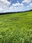 Fazenda / Sítio / Chácara com 3 Quartos à venda, 30000m² no Centro, Ceará Mirim - Foto 12