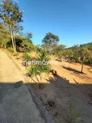 Fazenda / Sítio / Chácara com 6 Quartos à venda, 10000m² no Ravena, Sabará - Foto 3