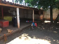 Terreno / Lote Comercial à venda, 5000m² no Chácaras de Recreio Felicidade Zona Rural, São José do Rio Preto - Foto 26