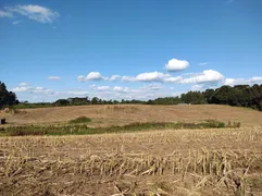 Terreno / Lote / Condomínio à venda, 151800m² no Forqueta, Caxias do Sul - Foto 5