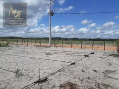 Fazenda / Sítio / Chácara com 3 Quartos à venda, 70000m² no Centro, Ceará Mirim - Foto 17