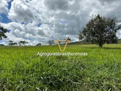 Fazenda / Sítio / Chácara com 3 Quartos à venda, 150m² no Area Rural de Goiania, Goiânia - Foto 6