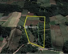 Terreno / Lote / Condomínio à venda, 100000m² no Vale dos Vinhedos, Bento Gonçalves - Foto 13