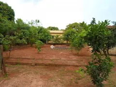Fazenda / Sítio / Chácara com 3 Quartos à venda, 132m² no Terra de Sao Lucas Zona Rural, São José do Rio Preto - Foto 12